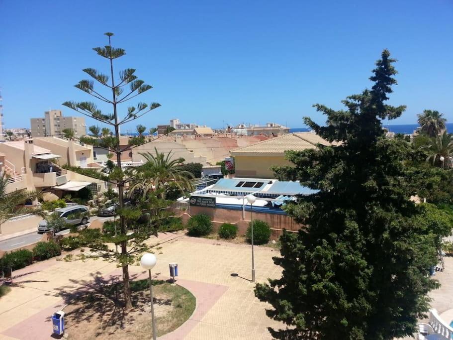 Estudio En Torrevieja A 700 M Del Mar ภายนอก รูปภาพ